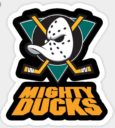 Central Florida Ball Hockey Mighty Ducks